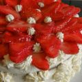 Freche rote Früchtchen und die Spaltung der[...]