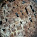 Kuchen: Linzer Torte