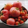 Tomatensauce einmachen, simpel