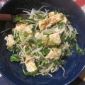 Mungobohnen-Rucola Salat mit Omelettstreifen
