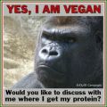 Eine Woche vegan! - Tag 2: Meensaa?!