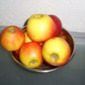 Kartoffel-Apfel-Gratin