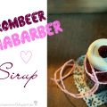Brombeer-Rhabarber-Sirup