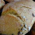 Kürbisbrötchen mit Übernachtgare
