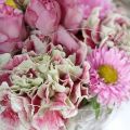 Romantik zum Flowerday