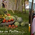 FRÜHLINGSTRAUM......