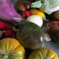 Garten Ende Oktober '15