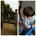 Wochenendbilder