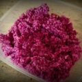 Rohkost: Apfel-Rotkohl-Salat mit dem Thermomix