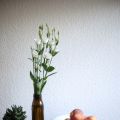DINNER-STORIES: with marta