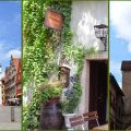 Abgelichtet: Rothenburg ob der Tauber