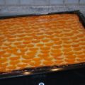 Annis Mandarin-Quark-Kuchen vom Blech