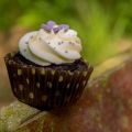 Sahne-Frischkäsefrosting, ein Blog-Tipp und[...]