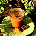 Nektarinenchutney