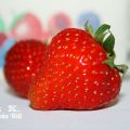 391♥ Erdbeeren + Griesspudding = ein[...]