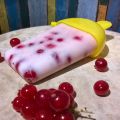 Holunder-Joghurt-Eis am Stiel mit Johannisbeeren