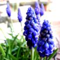 Helden des Alltags (13)