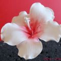 Tutorial: Hibiskusblüte aus Blütenpaste