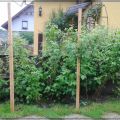 Gartengewerkel und so...