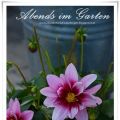 ABENDS im GARTEN .....TEIL 1