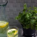{ Klassiker } Türkische Zitronenlimonade ~ Ev[...]