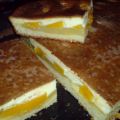Mandarinen-Aprikosen-Kuchen