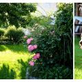 der GARTEN von ULLI und ANDERL....TEIL 1