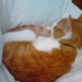 Wochenendbilder
