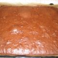 Brownies - super Schokoladig!