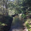 12tel-Blick im September und ein[...]